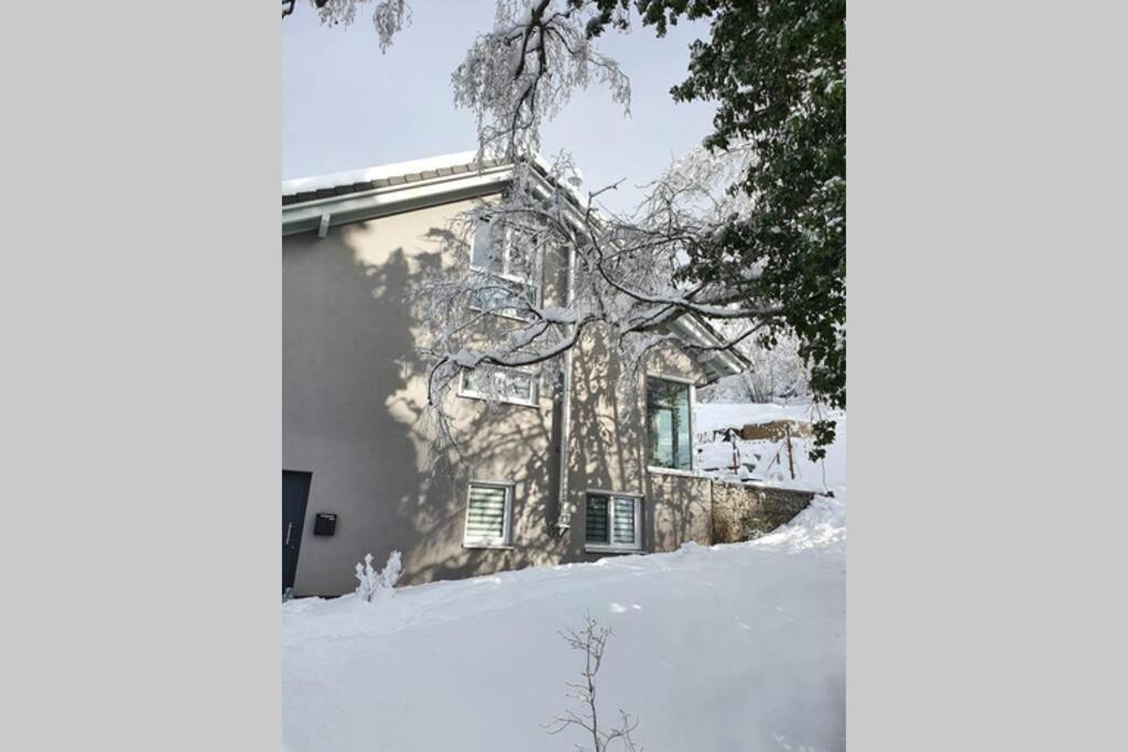 Ferienwohnung Am Musbach In Badenweiler-Sehringen Екстер'єр фото