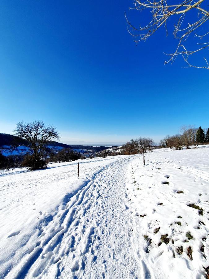 Ferienwohnung Am Musbach In Badenweiler-Sehringen Екстер'єр фото