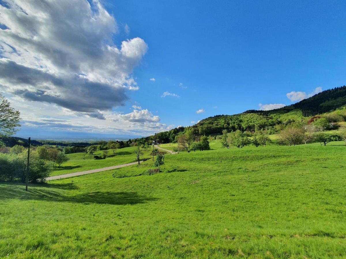 Ferienwohnung Am Musbach In Badenweiler-Sehringen Екстер'єр фото